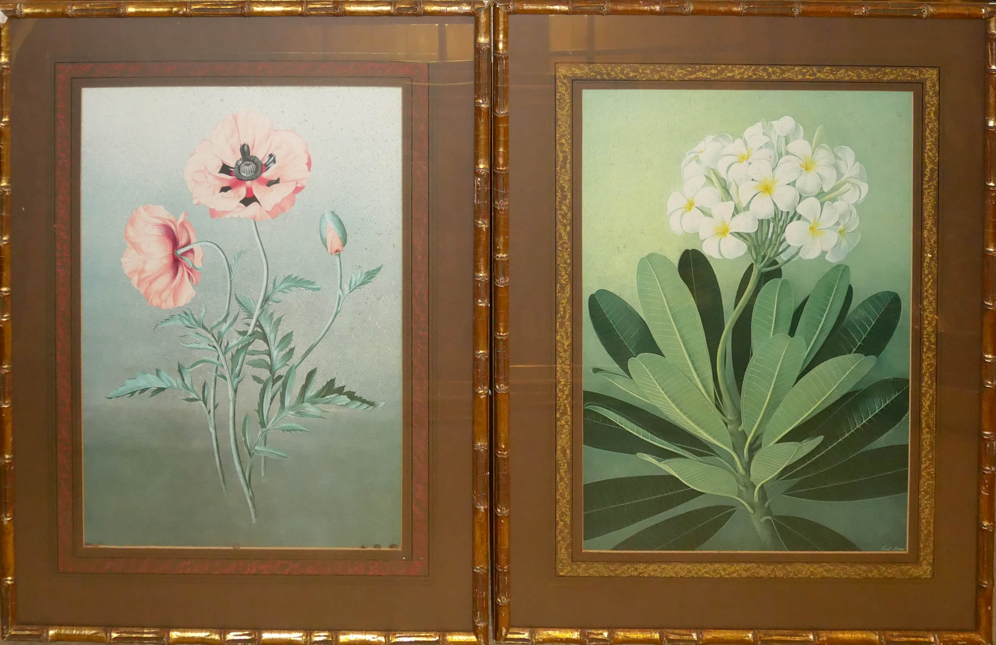 AFTER PAUL JONES, A PAIR OF EXOTIC FLORAL PRINTS Glazed and contained in ornamental bamboo manner