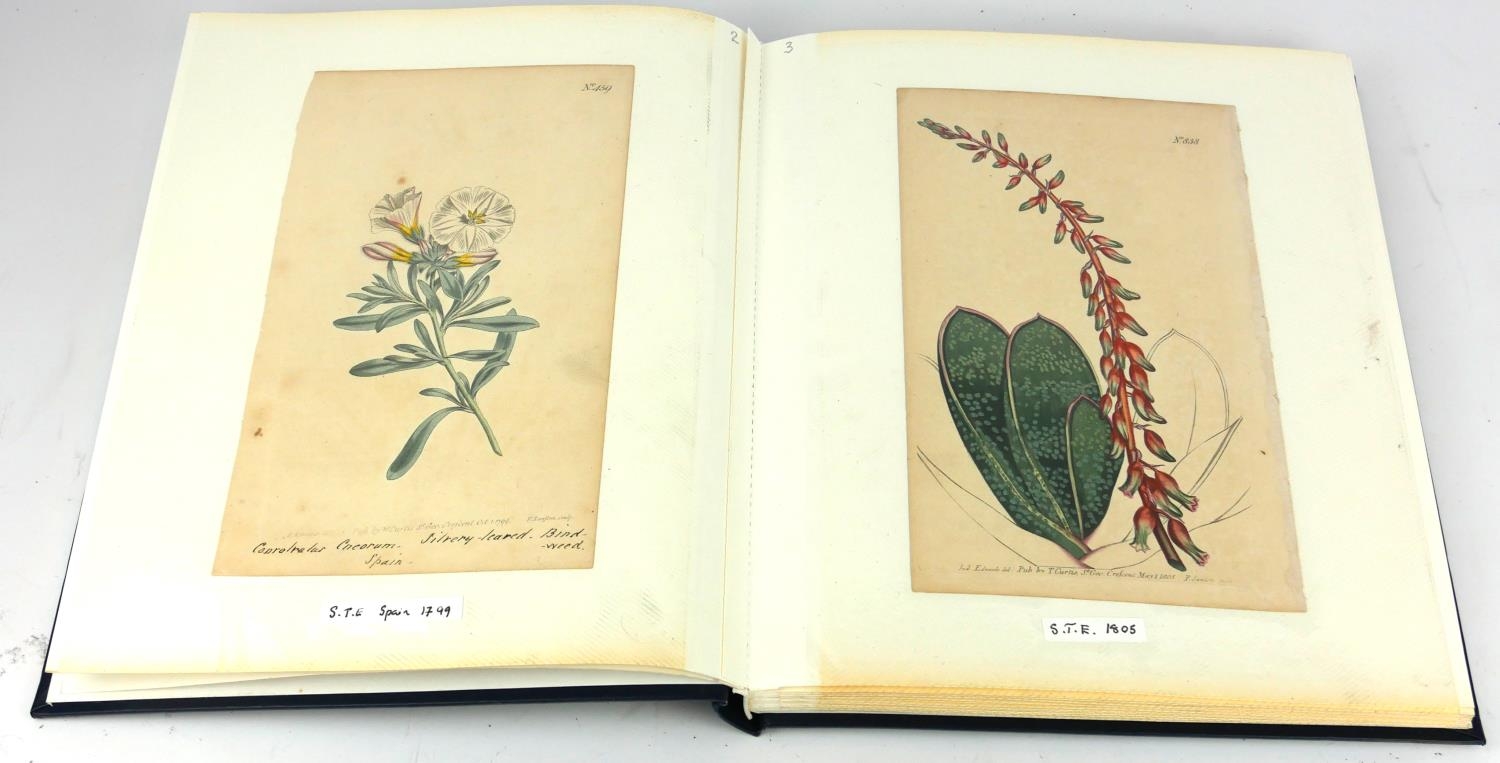 AN ALBUM OF THIRTY LATE 18TH/EARLY 19TH CENTURY BOTANICAL HAND COLOURED ENGRAVINGS AND PRINTS To