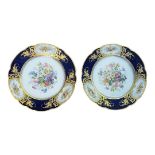 A PAIR OF 19TH CENTURY FRENCH SÈVRES STYLE CABINET PLATES Each plate centrally painted with floral