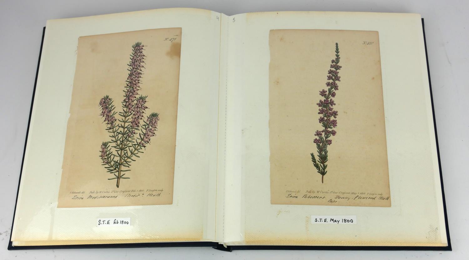 AN ALBUM OF THIRTY LATE 18TH/EARLY 19TH CENTURY BOTANICAL HAND COLOURED ENGRAVINGS AND PRINTS To - Image 3 of 5