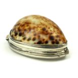 A GEORGIAN PROVINCIAL IRISH SILVER AND COWRIE SHELL OVAL SNUFF BOX Initialed, hallmarked 'IH' or '