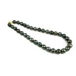 A STRING OF TAHITIAN PEARLS WITH A 9CT YELLOW AND WHITE GOLD CLASP.