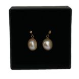 A PAIR OF 9CT YELLOW GOLD DROP STUDS with suspended cream freshwater cultured pearls. Boxed.