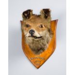 A LATE 19TH CENTURY TAXIDERMY FOX MASK C1898. (h 28cm x w 19cm x d 22cm)