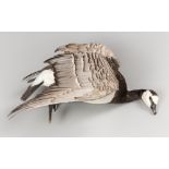 AN EARLY/MID-20TH CENTURY TAXIDERMY BARNACLE GOOSE IN FLIGHT. Provenance: The James Harrison
