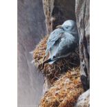 ANDREW HUTCHINSON, C1961, ORIGINAL ACRYLIC PAINTING OF GULL NESTING ON A CLIFF, SIGNED.