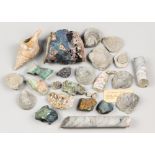 A COLLECTION OF FOSSILS AND MINERALS. The largest (l 13cm)