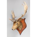 A LATE 19TH/EARLY 20TH CENTURY TAXIDERMY FALLOW DEER HEAD UPON SHIELD. (h 87cm x w 64cm x d 43cm)