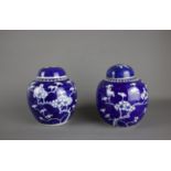 A pair of Chinese blue and white porcelain ginger jars and lids, 19th century. H:14cm Beautifully