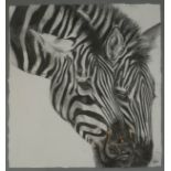 REBECCA PETERS, B. 1971, CHARCOAL STUDY, ZEBRAS Signed bottom right, framed and glazed in a