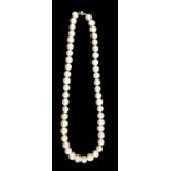 A STRING OF WHITE ROUND FRESHWATER CULTURED PEARLS with a 9ct yellow gold ball clasp. Length 22