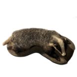 A LATE 19TH/EARLY 20TH CENTURY TAXIDERMY OF EUROPEAN BADGER (MELES MELES) Full mount in partial