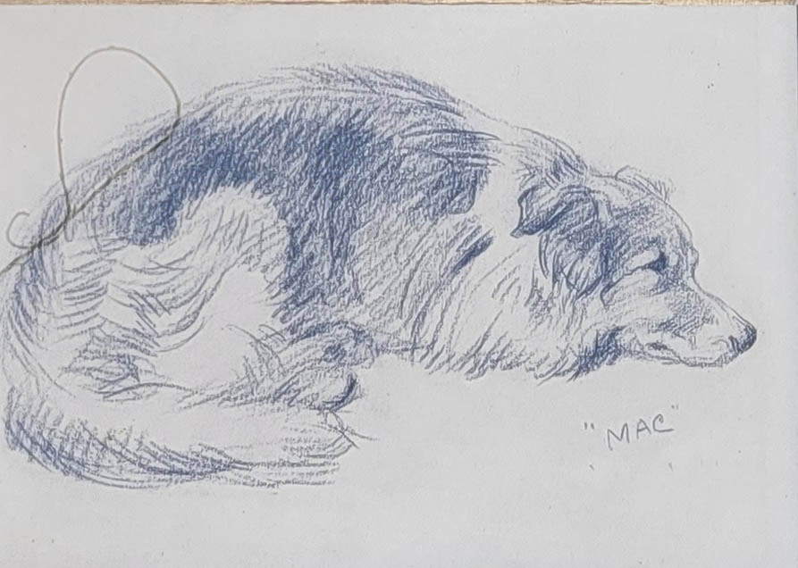 LUCY DAWSON, AN EARLY 20TH CENTURY BRITISH SCHOOL PENCIL DRAWING, COLLIE DOG Signed ‘Mac’ (pseudonym - Image 4 of 6