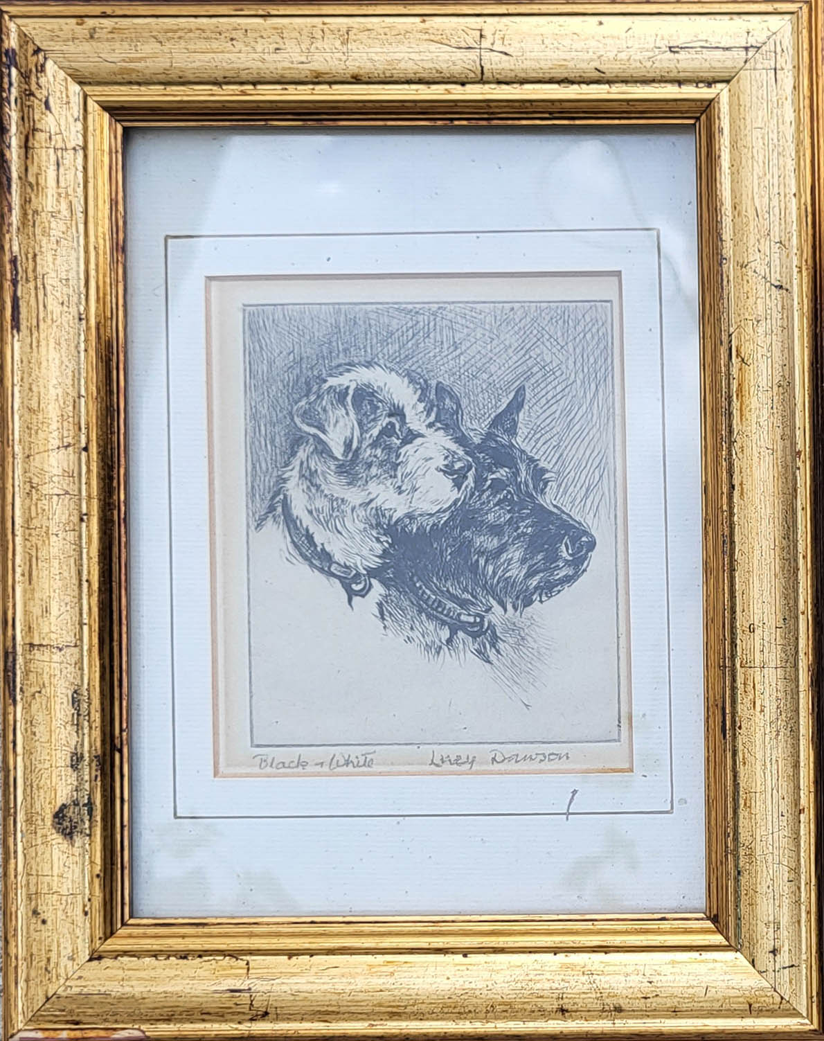 LUCY DAWSON, AN EARLY 20TH CENTURY BRITISH SCHOOL PENCIL DRAWING, COLLIE DOG Signed ‘Mac’ (pseudonym - Image 2 of 6