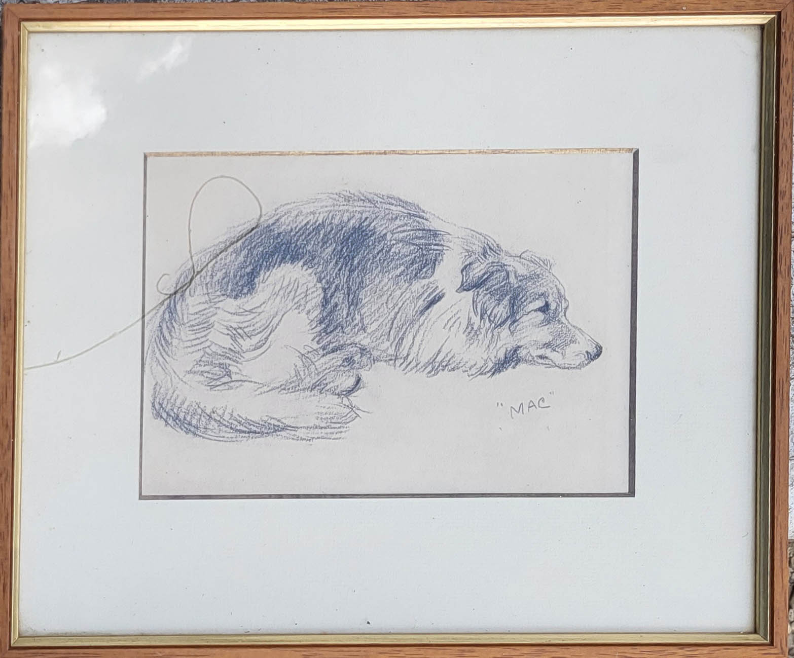 LUCY DAWSON, AN EARLY 20TH CENTURY BRITISH SCHOOL PENCIL DRAWING, COLLIE DOG Signed ‘Mac’ (pseudonym - Image 5 of 6