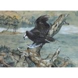 IAN BOWLES, 1946 - 2018, A LARGE WATERCOLOUR Landscape, osprey bird of prey with fish near a