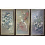 A SET OF THREE DECORATIVE COLOURED PRINTS Exotic birds and flowers, mounted, framed and faux
