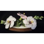 ROYAL WORCESTER, A BONE CHINA PORCELAIN GROUP, FLOWERING HIBISCUS Modelled by Ronald Van Ruyckevelt,