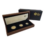 A 22CT GOLD BRITANNIA THREE COIN PROOF SET, DATED 2010 Comprising fifty pounds, twenty-five pounds