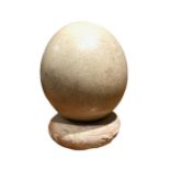 A LARGE SPECKLED OSTRICH EGG ON COMPOSITE STONE BASE. (Height 18.4cm x Diameter 13cm)