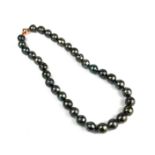 A STRING OF BLACK/PURPLE TAHITIAN PEARLS on a 9ct rose gold ball clasp. (Approx. 18")