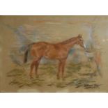 W. WASDELL TRICKETT, 1921-1939, PASTEL ON PAPER Equestrian interest, titled 'Zingarina', signed