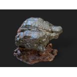 A Scholar's Rock resembling a Turtle, with mid Qing fitted wood stand L:51cm the back of the black