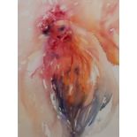 JEAN HAINES, BRITISH, MODERN, WATERCOLOUR Cockerel, signed, framed and glazed. (w 45cm x h 56cm)