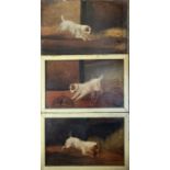 A VICTORIAN PROVINCIAL NAIEVE SCHOOL SET OF THREE OILS ON CANVAS Studies of hunting farmyard dogs,