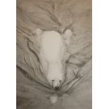 GARY HODGES, A MODERN BRITISH SCHOOL SET OF FOUR LIMITED EDITION BLACK AND WHITE WILDLIFE PRINTS All