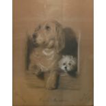 FRIDA SCHLOSBERG, SOUTH AFRICA, AN EARLY 20TH CENTURY PASTEL DOG STUDY Titled 'Dignity and