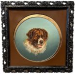 A LATE 19TH/EARLY 20TH CENTURY CIRCULAR OIL ON METAL, PORTRAIT OF A SAINT BERNARD Held in a