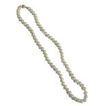 A VINTAGE 9CT GOLD AND CULTURED PEARL NECKLACE Having a single row of cultured pearls with a