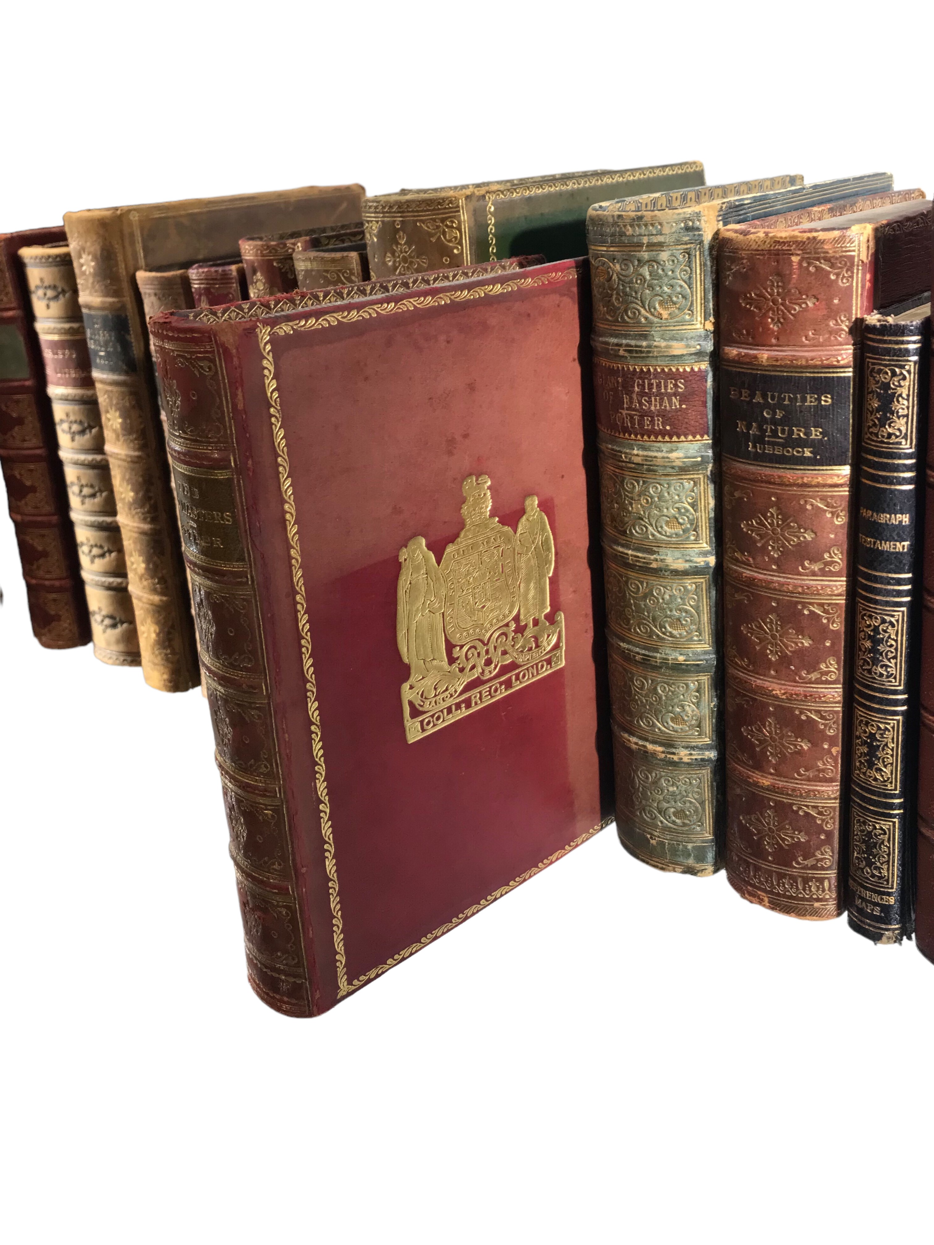 A 19TH/EARLY 20TH CENTURY COLLECTION OF BOOKS, VARIOUS SUBJECTS AND AUTHORS To include ‘The Giant - Image 2 of 3