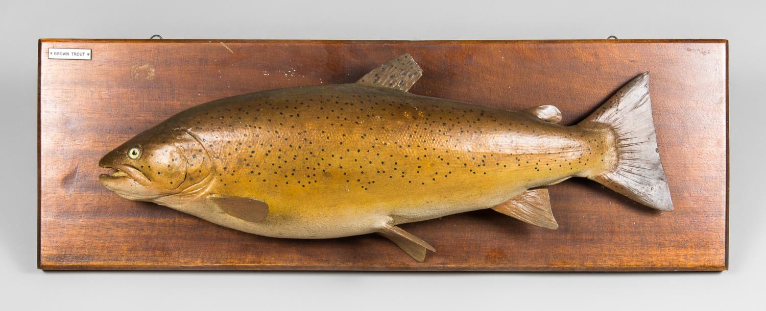 A.J. HALL, A CARVED WOODEN BROWN TROUT, HAND PAINTED AND MOUNTED UPON AN OAK BACKBOARD. Plaque