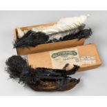 A LATE 19TH/EARLY 20TH CENTURY BOX OF FEATHERS. Various species used for hat decorations. (h 11cm