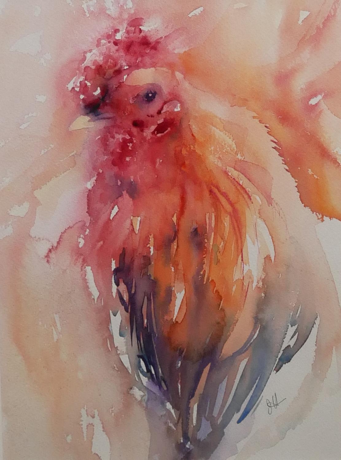 JEAN HAINES, BRITISH, MODERN, WATERCOLOUR Cockerel, signed, framed and glazed. (w 45cm x h 56cm)