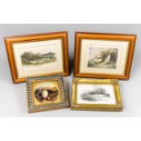 FOUR FISHING AND GAME BIRD FRAMED PRINTS The largest (h 23cm x w 28cm)