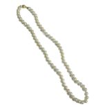 A VINTAGE 9CT GOLD AND CULTURED PEARL NECKLACE Having a single row of cultured pearls with a