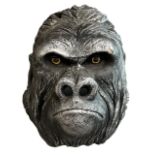 A LARGE DECORATIVE LIFE SIZE SCULPTURE OF A GORILLA HEAD. (h 38cm x d 34cm x w 40cm)