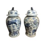 A LARGE PAIR OF ORIENTAL BLUE AND WHITE GINGER JARS Depicting two Dogs of Fo playing and Dog of Fo