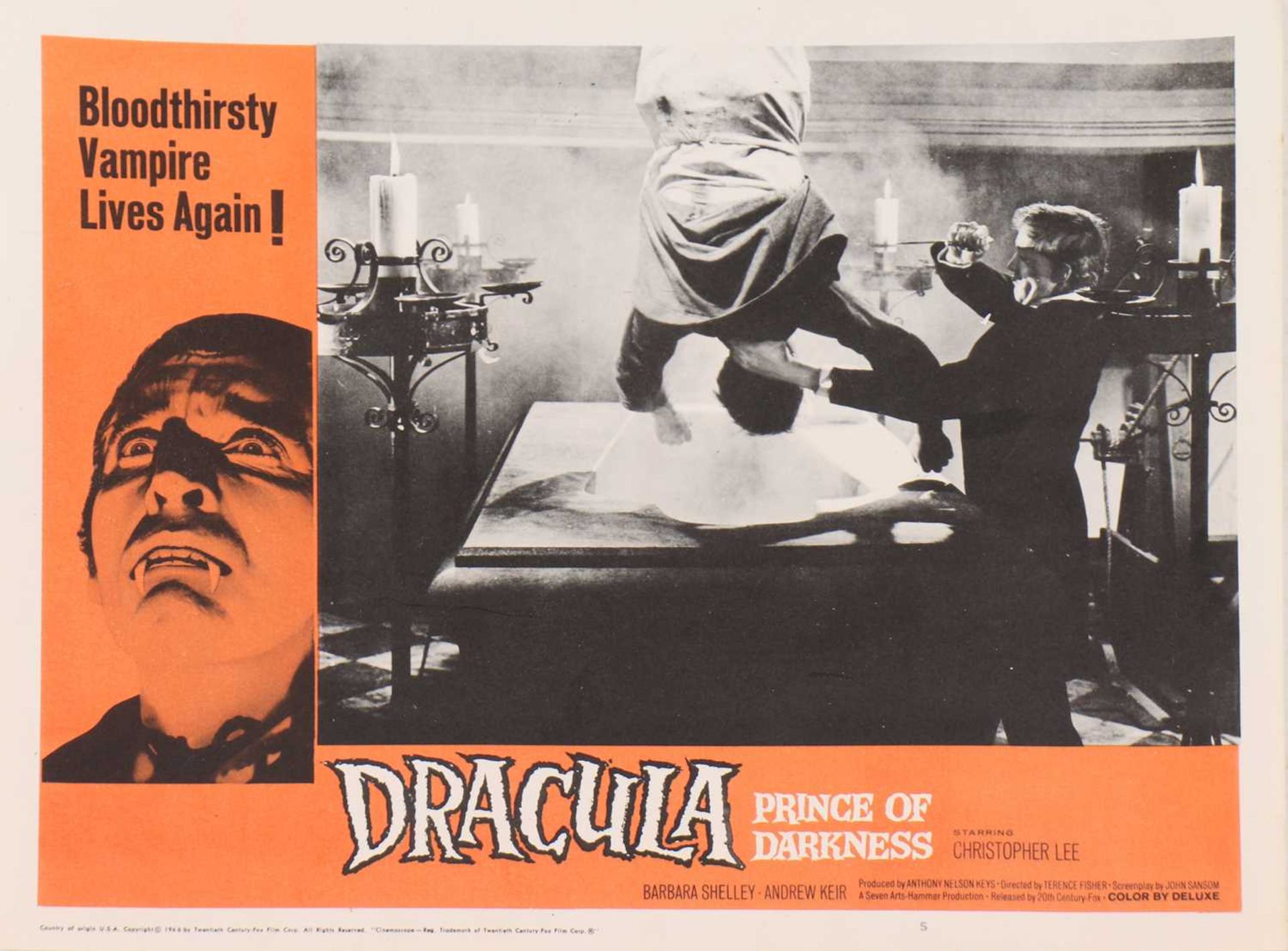 HAMMER HORROR,