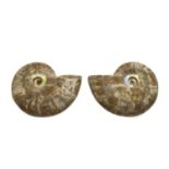 A pair of Madagascan polished and split ammonites,