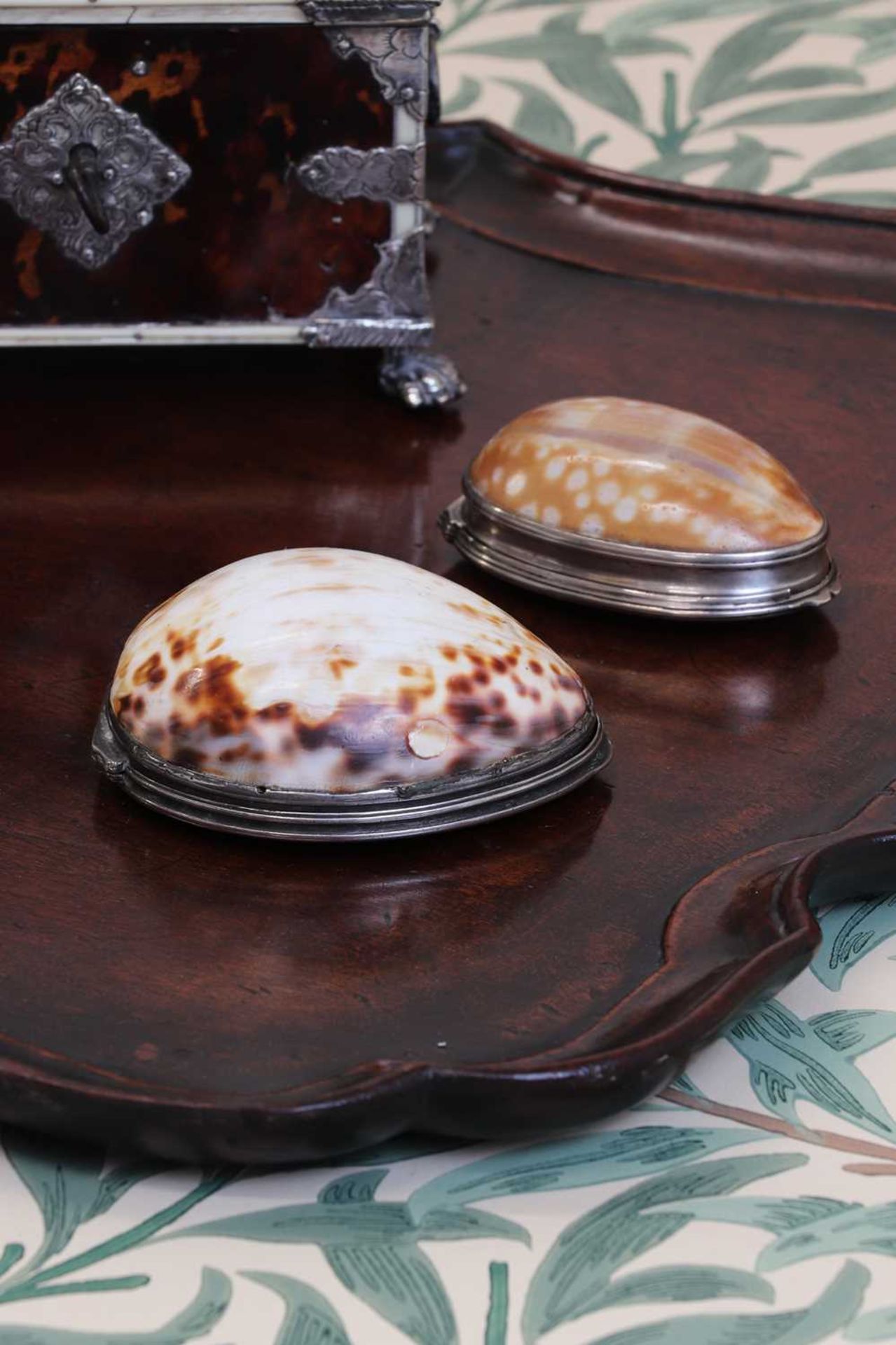 A large silver-mounted cowrie shell snuff box, - Image 5 of 5