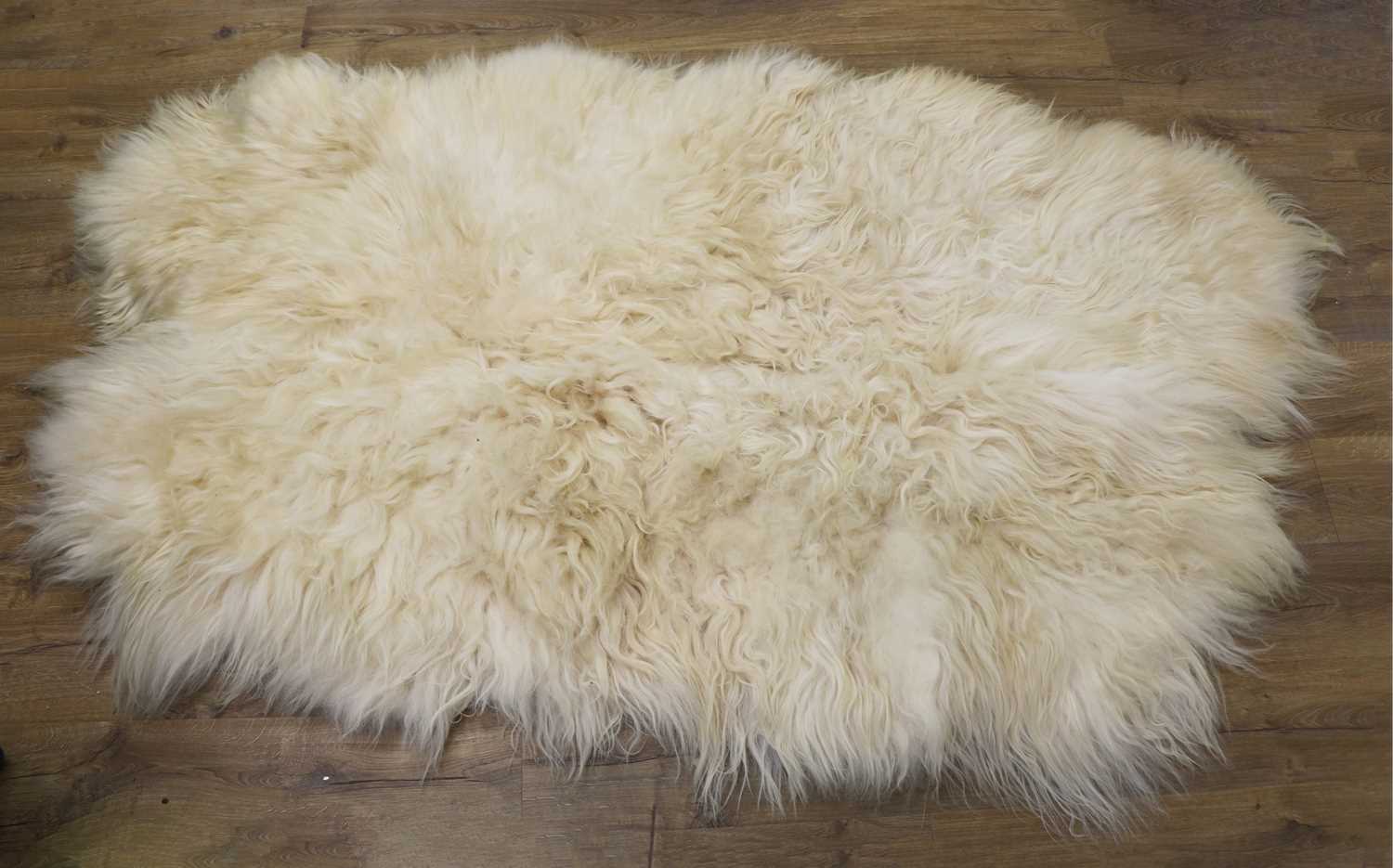 A large Icelandic sheepskin rug,