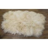 A large Icelandic sheepskin rug,