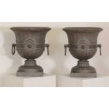 A pair of Napoleon III cast iron urns,
