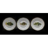 A collection of five Anna Weatherley designed porcelain plates,