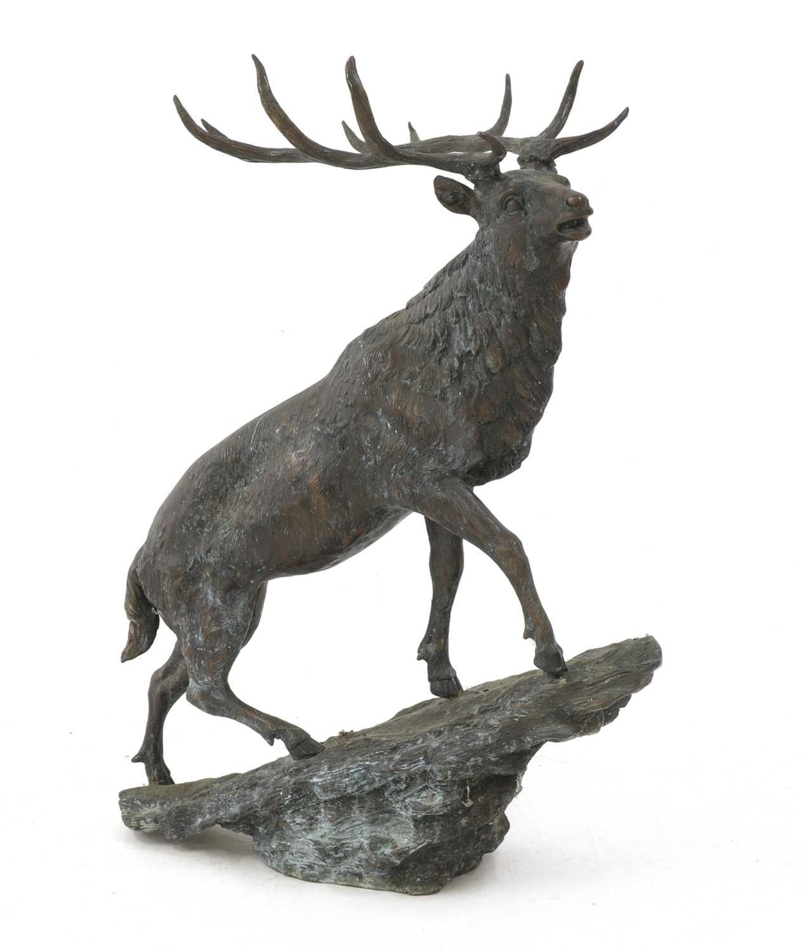 Stag on a rocky outcrop