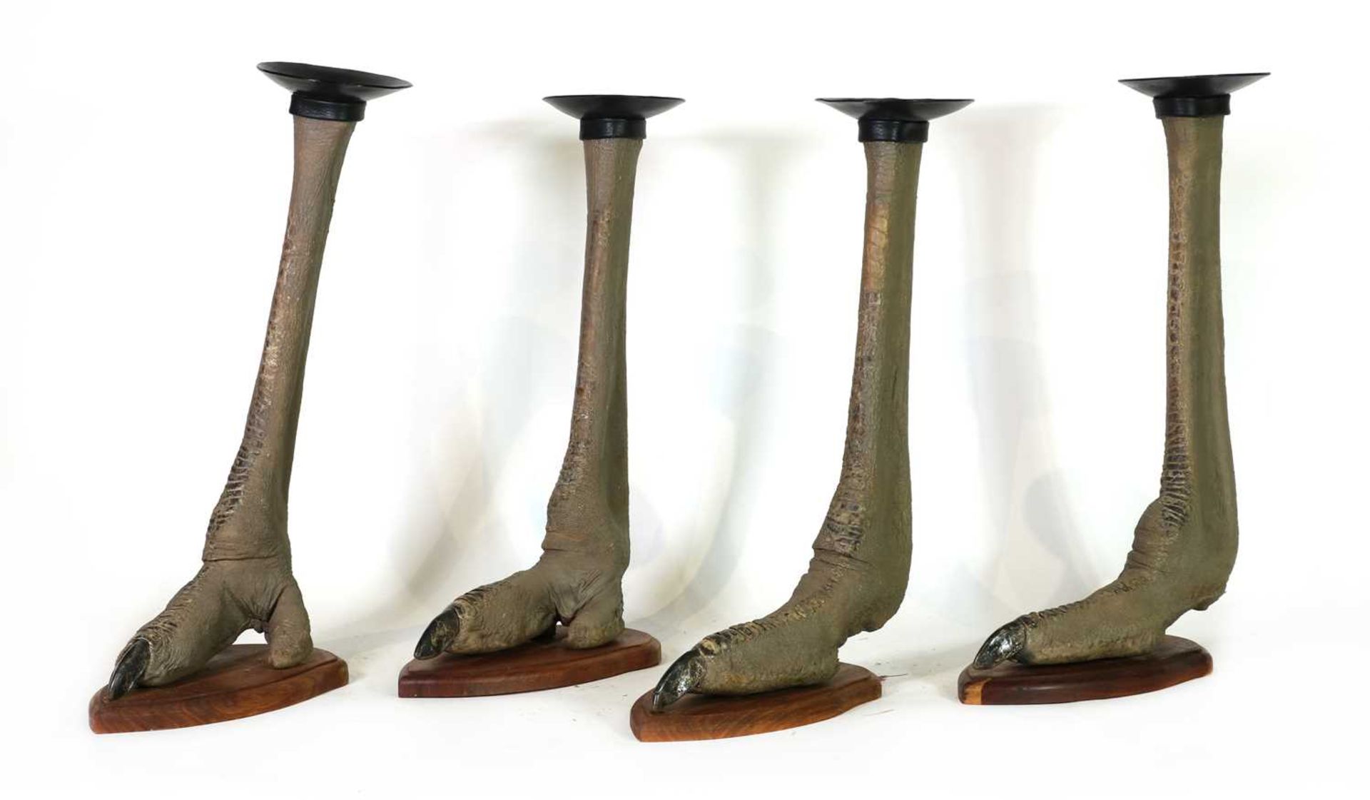 Taxidermy: Four ostrich foot candle holders - Image 4 of 4